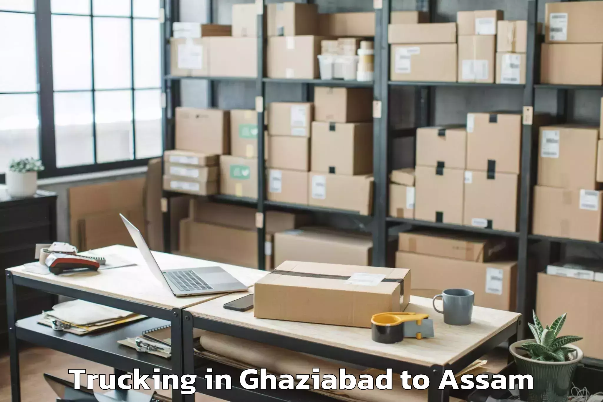 Efficient Ghaziabad to Silapathar Trucking